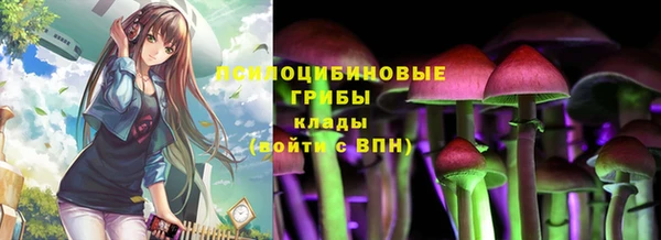 винт Армянск