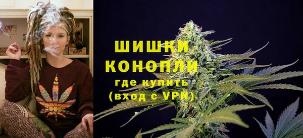 spice Арсеньев