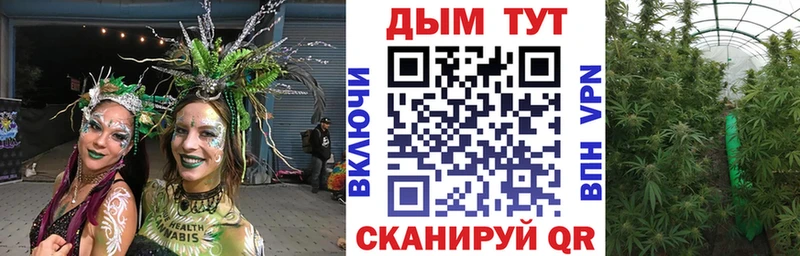 Каннабис Bruce Banner  Тамбов 